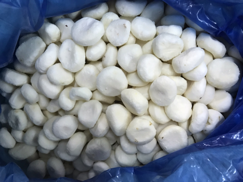 马蹄片