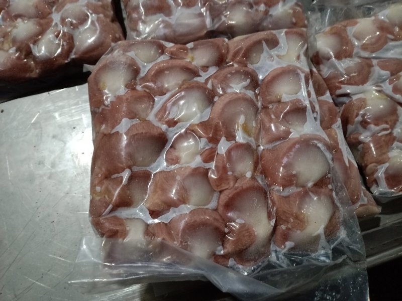 白条鸭