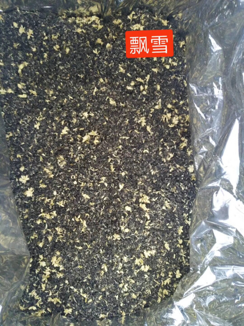 精品飘雪