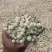 精品飘雪