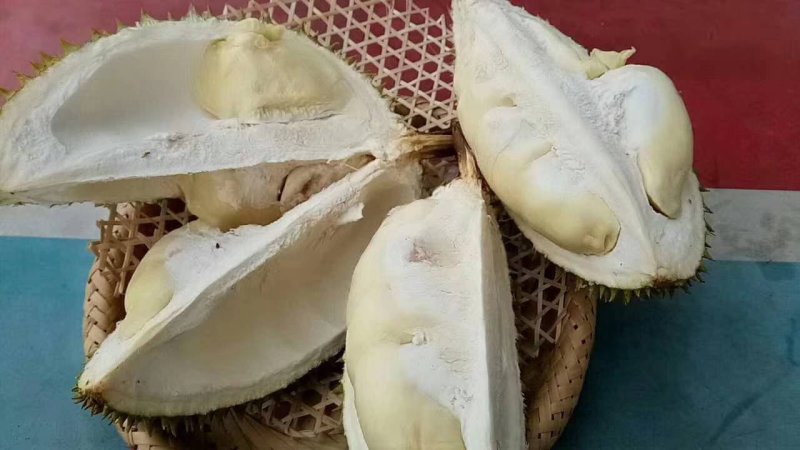 越南猫山王榴莲一件代发