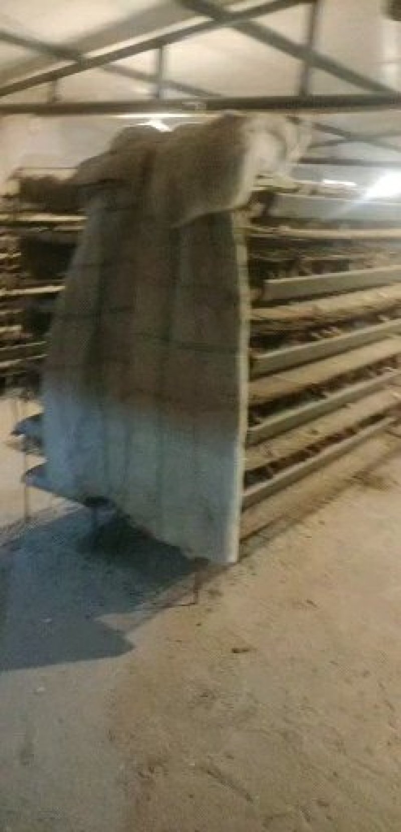 140枚鸟蛋鹌鹑蛋精包装需要的私聊