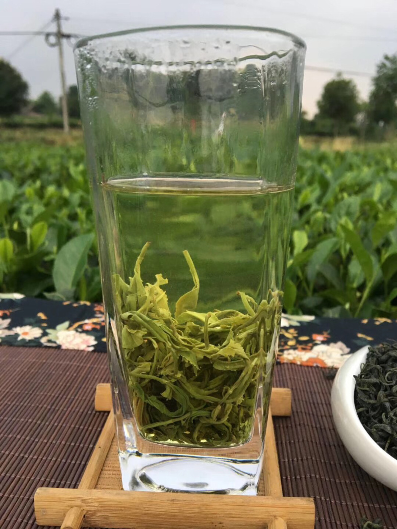 性价比毛峰