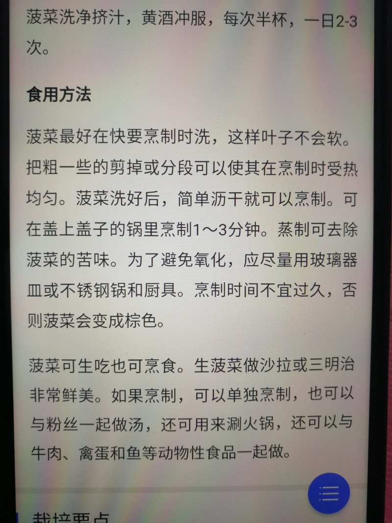 【精选】紫色菠菜种子抗病好叶片厚实产量高口感佳