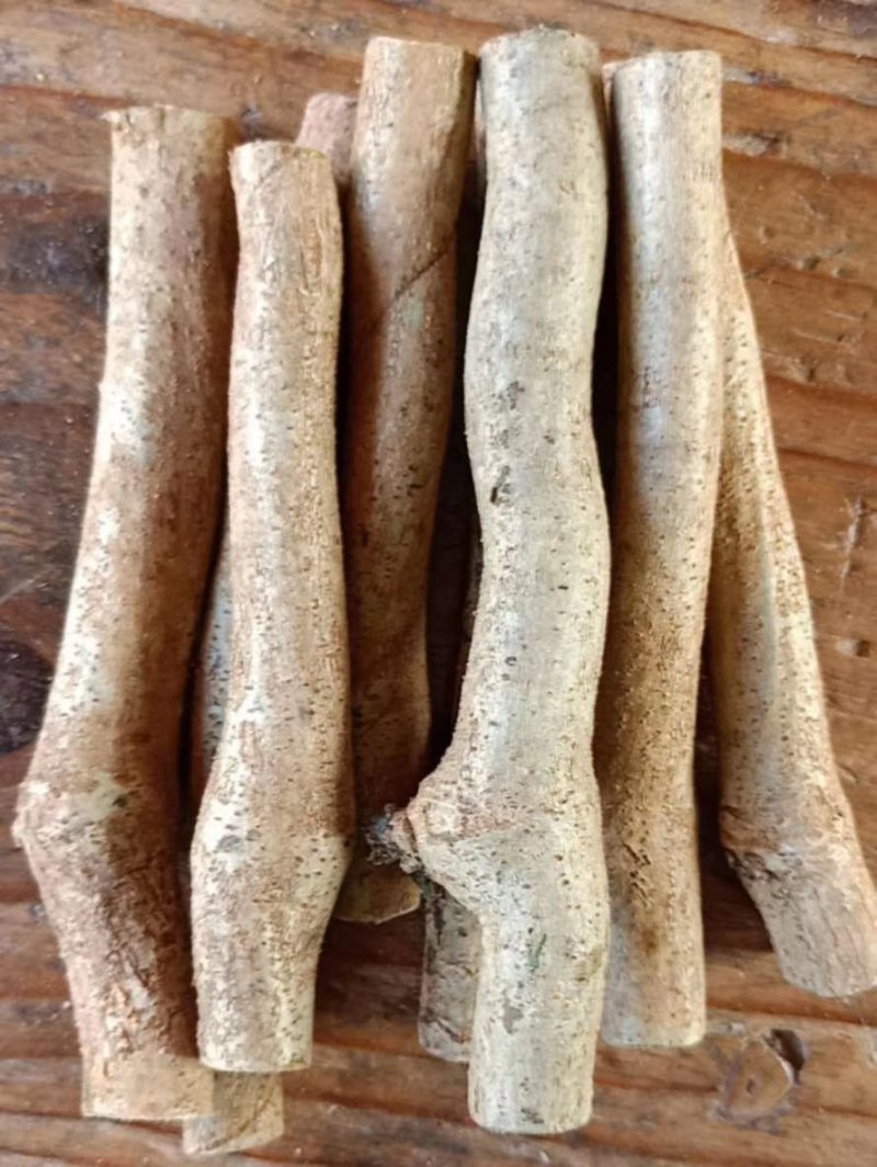 葛根种苗（正宗无渣粉葛苗，免费提供优质贴心的育苗种植技）