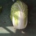 【优质】夏季大白菜种子耐热耐单球4-6斤左右品质好