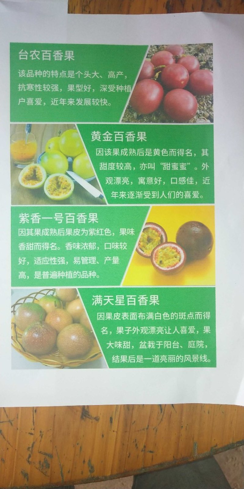 百香果苗紫香一号黄金百香果苗满天星台农百香果嫁接苗