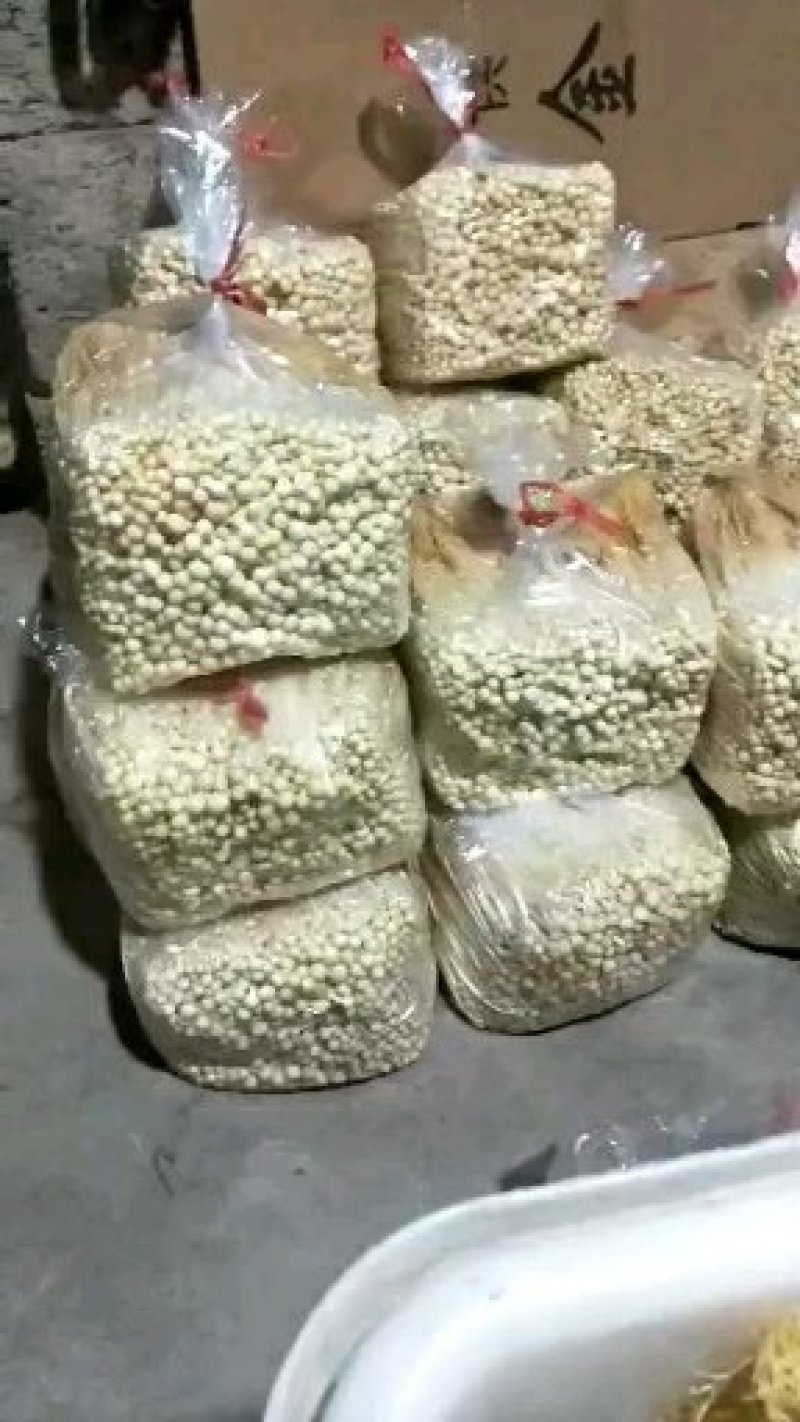黄金针菇大量上市中，质量更好，精品黄金针菇多种包装！