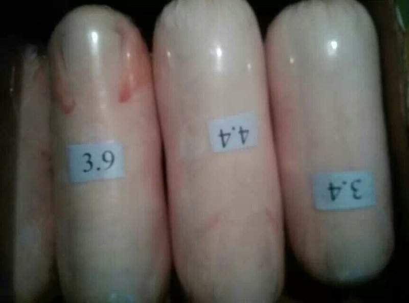 小耳朵乳猪冷冻烤乳猪优质批发，3头以上包邮