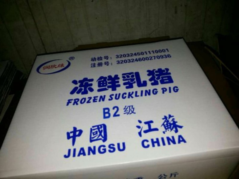 小耳朵乳猪冷冻烤乳猪优质批发，3头以上包邮