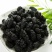 桑葚干食用天然无泥沙免洗~药用干净中药材批发零售