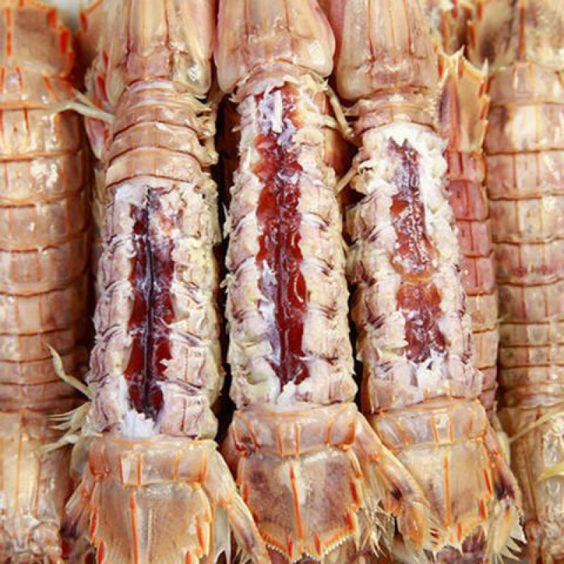 熟冻皮皮虾【肉质饱满】新鲜皮皮虾熟冻整箱全壳虾爬子4斤装