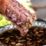 熟冻皮皮虾【肉质饱满】新鲜皮皮虾熟冻整箱全壳虾爬子4斤装