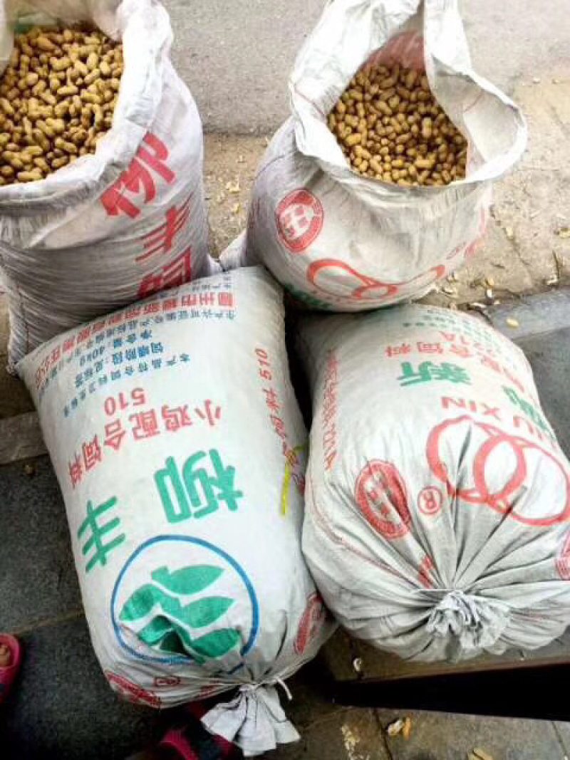 花生油