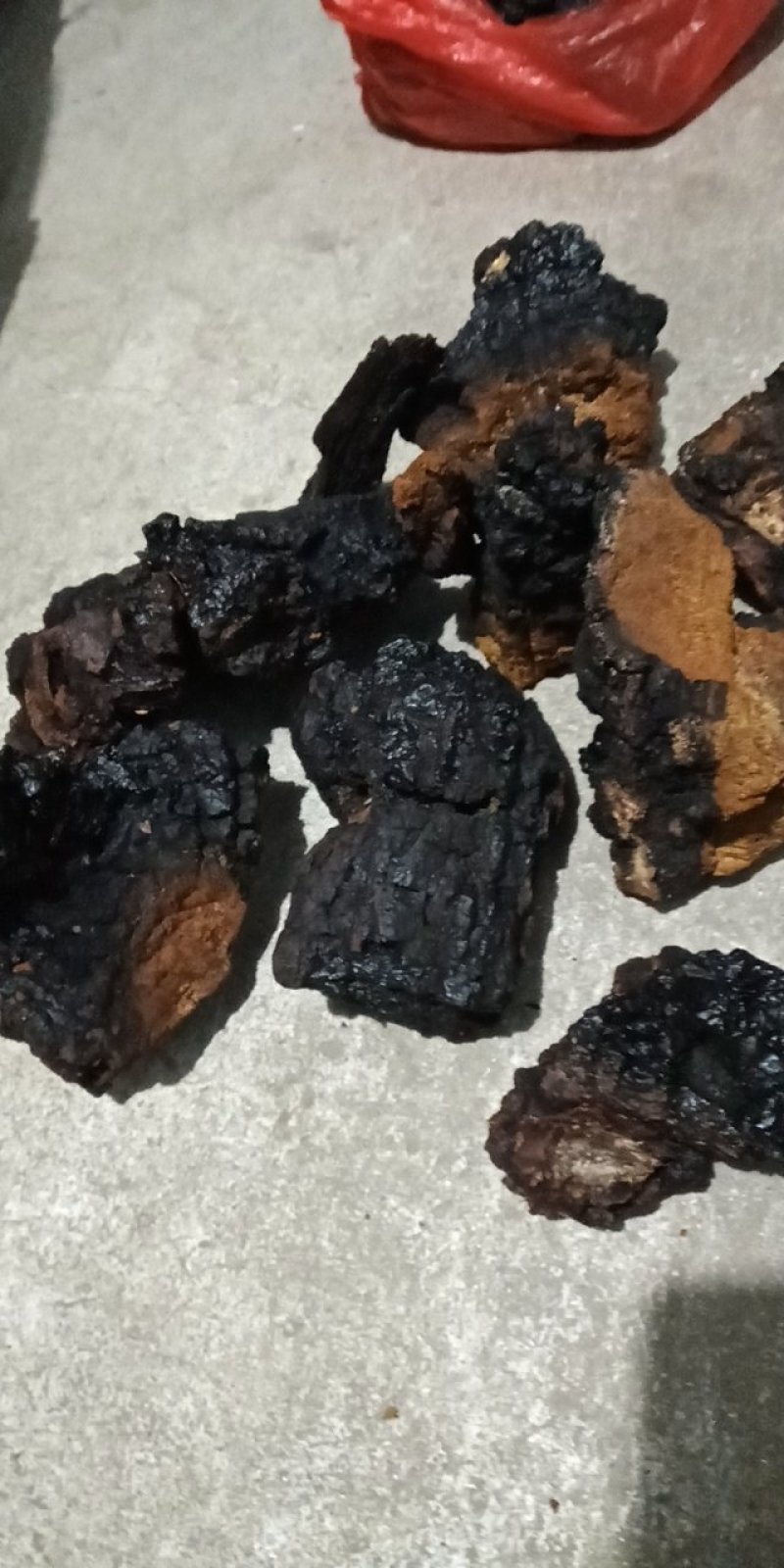 东北野生桦树黄，桦树泪，桦树茸，桦褐孔菌。