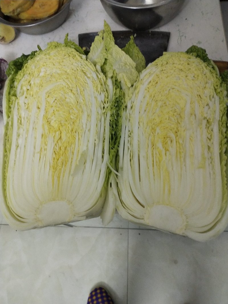嘉鱼县牌洲湾白菜大量上市质量保证，净菜专业产地代办
