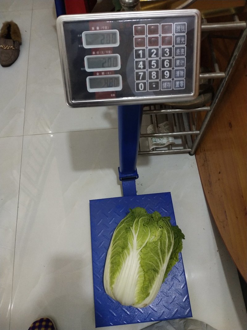 嘉鱼县牌洲湾白菜大量上市质量保证，净菜专业产地代办