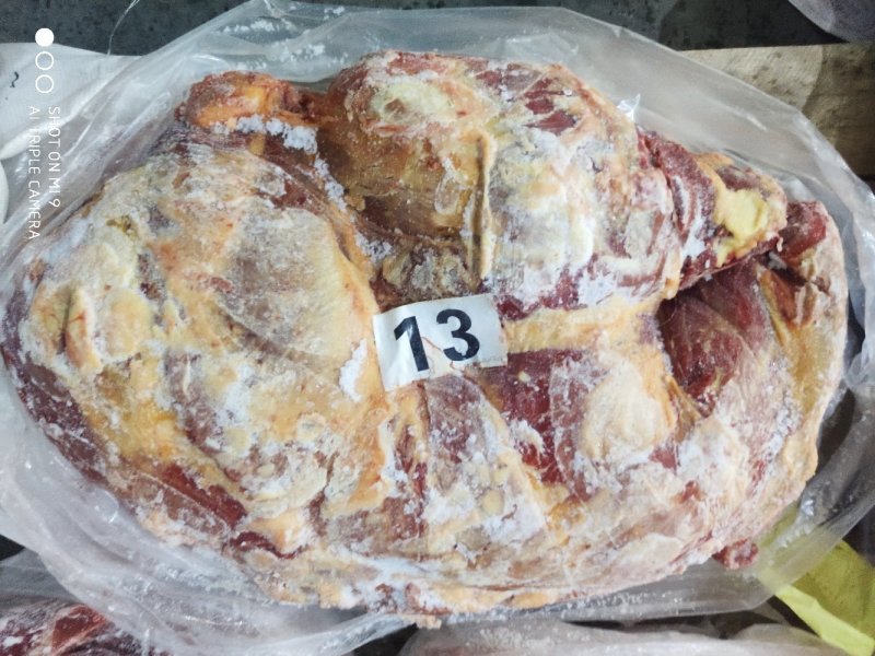 马后腿正关蒙古国定装马肉五分体后腿肉剔骨马肉