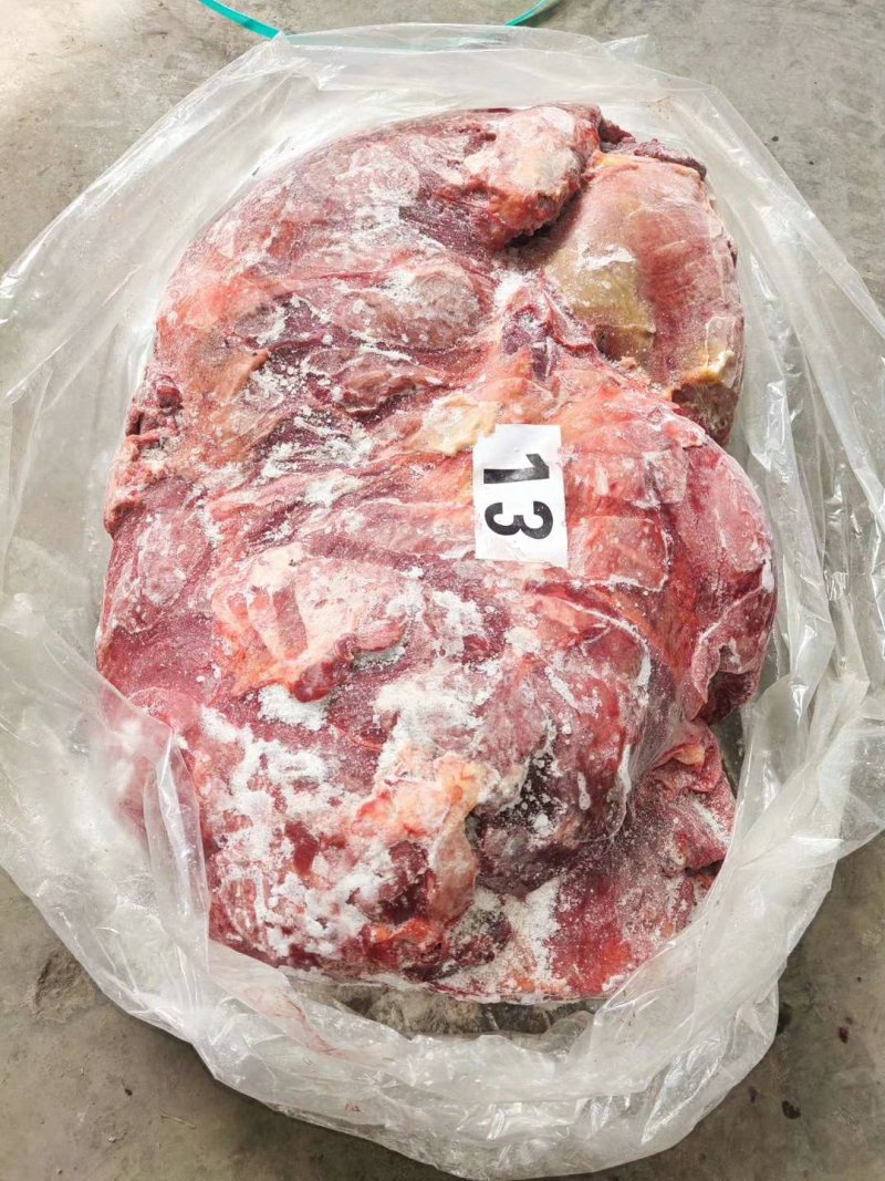马后腿正关蒙古国定装马肉五分体后腿肉剔骨马肉