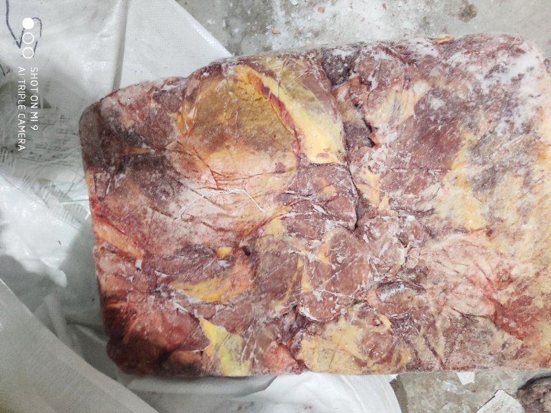 马前腿定装蒙古国正关吊宰马肉前腿