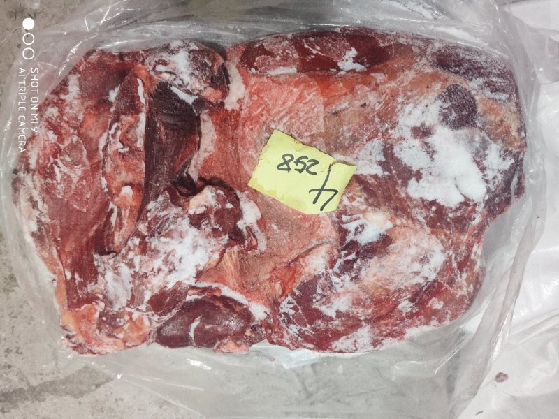 马前腿定装蒙古国正关吊宰马肉前腿