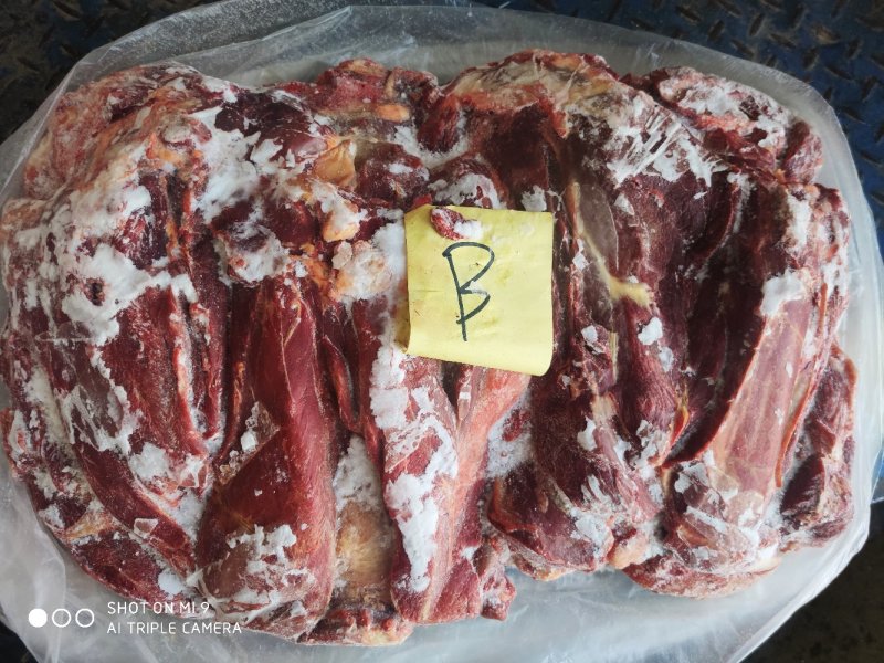 马前腿定装蒙古国正关吊宰马肉前腿