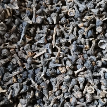 桂花籽，广西桂花籽量大从优，欢迎大家前来选购