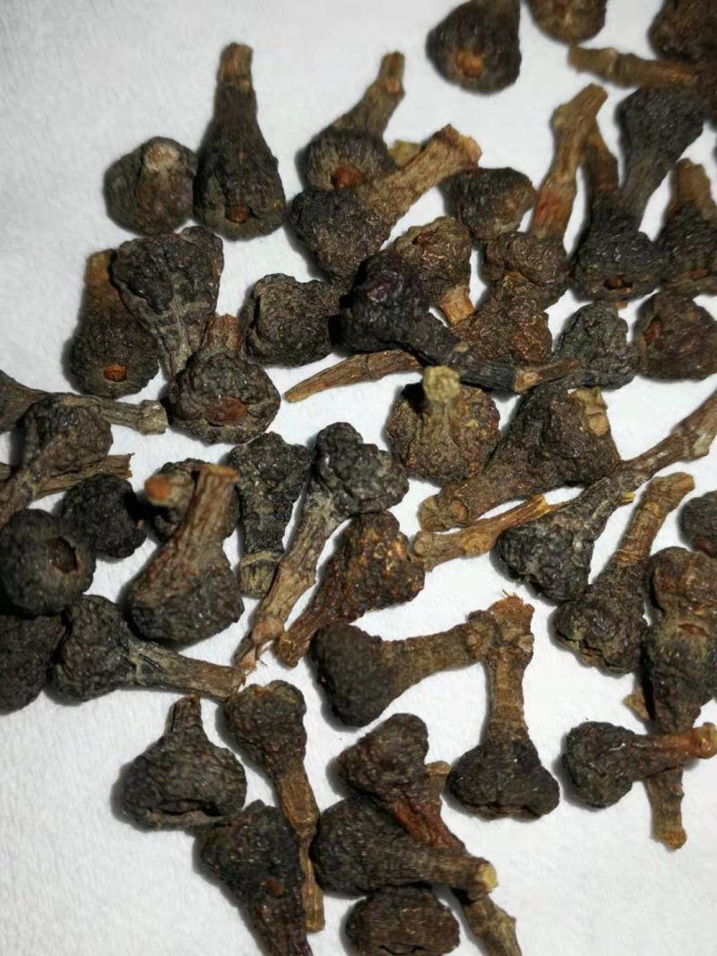 桂花籽，广西桂花籽量大从优，欢迎大家前来选购