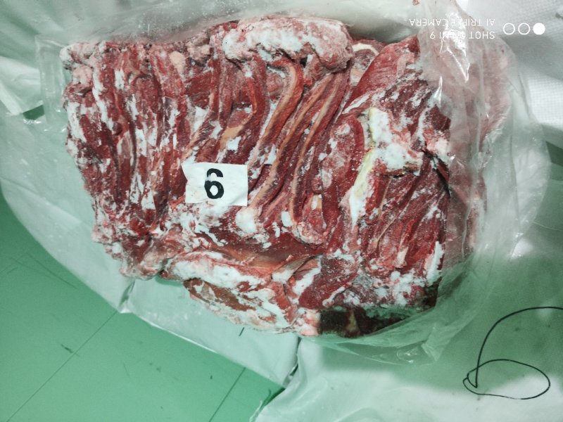 马肋条正关蒙古国马肉肋条五分体定装剔骨马肉扒皮