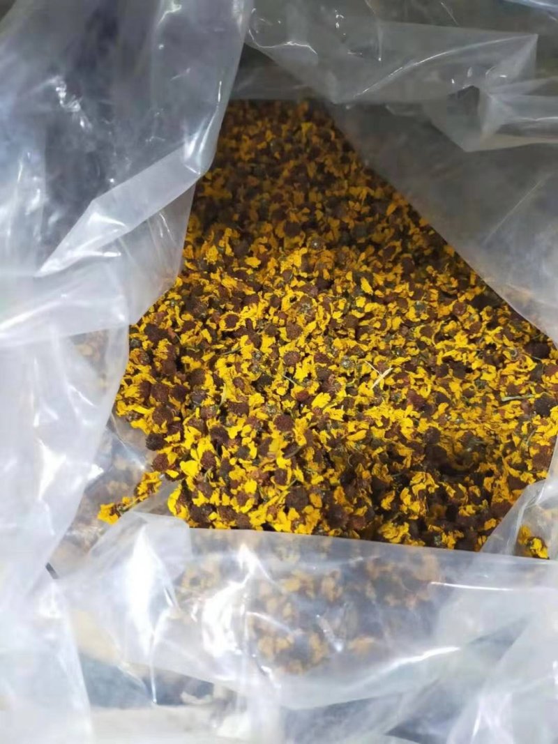 昆仑雪菊～新疆昆仑山特产菊花！色泽纯正清香