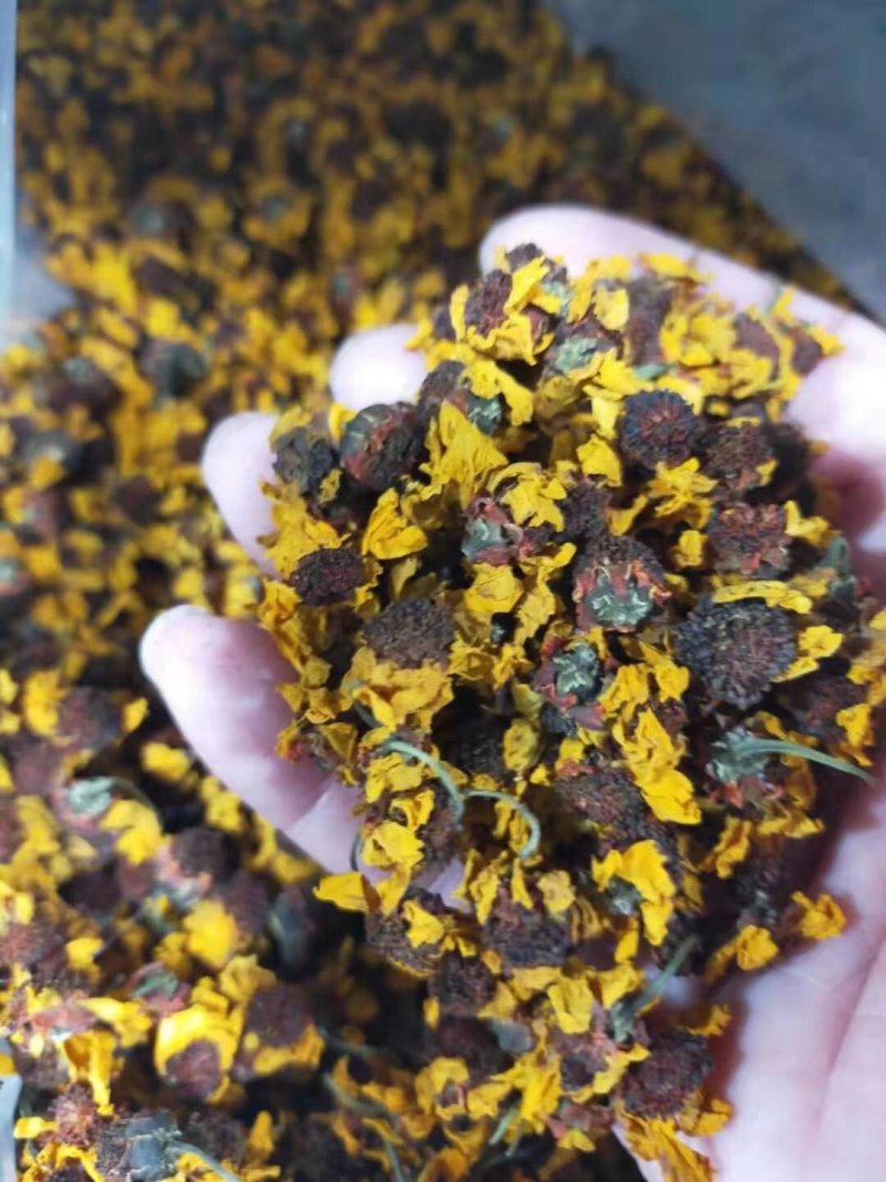昆仑雪菊～新疆昆仑山特产菊花！色泽纯正清香