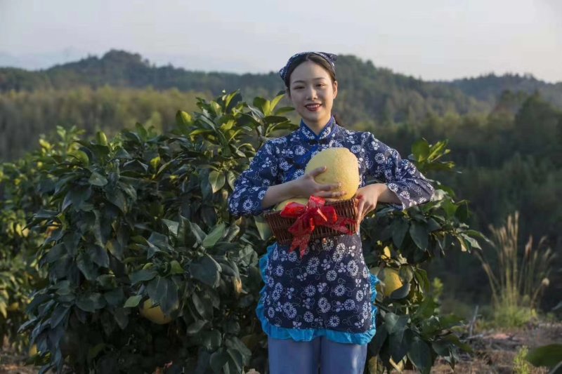 江西广丰特产马家柚红心柚甜脆口感水分足柚中优品