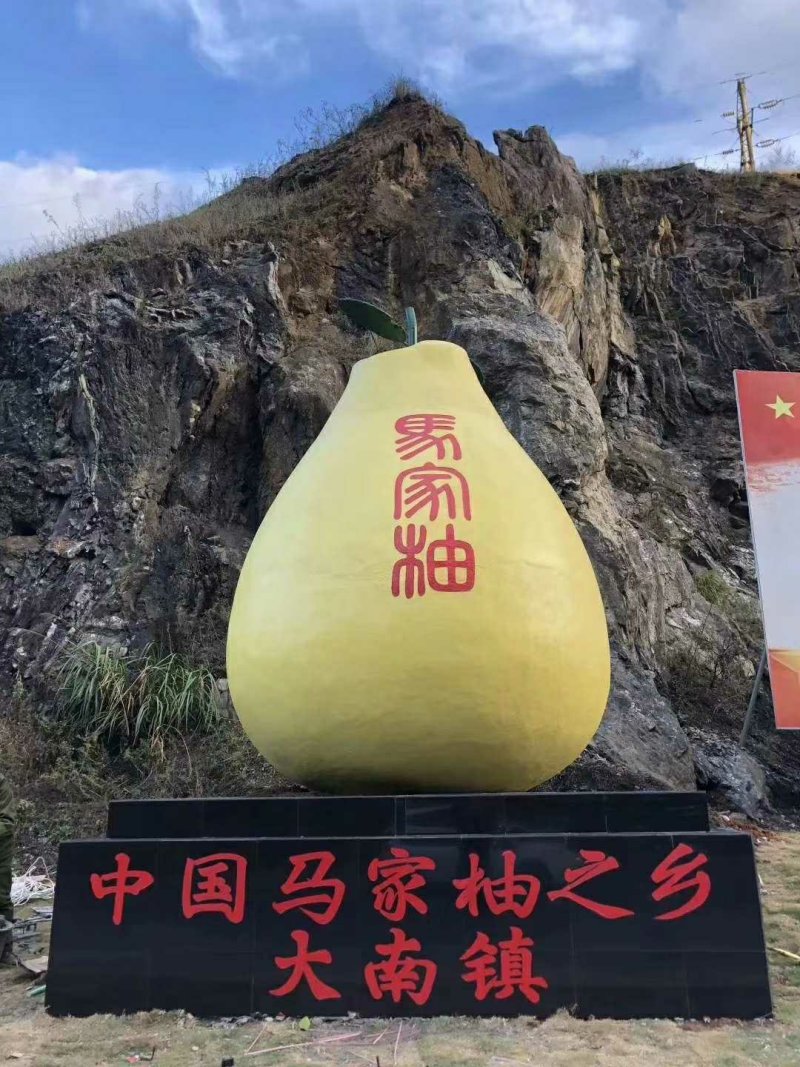 江西广丰特产马家柚红心柚甜脆口感水分足柚中优品