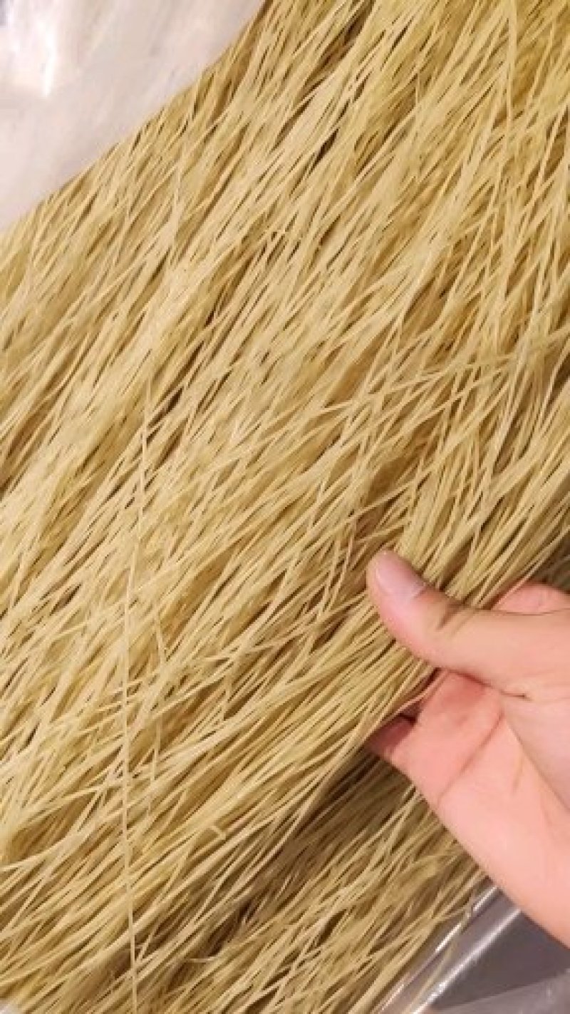 红薯粉条厂家直销品种多可定制宽度手续全质量好