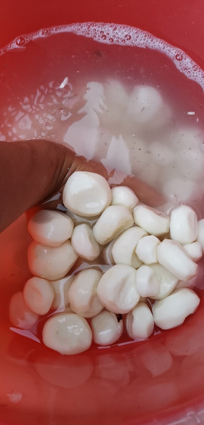 削皮马蹄肉，货源充足、质量**