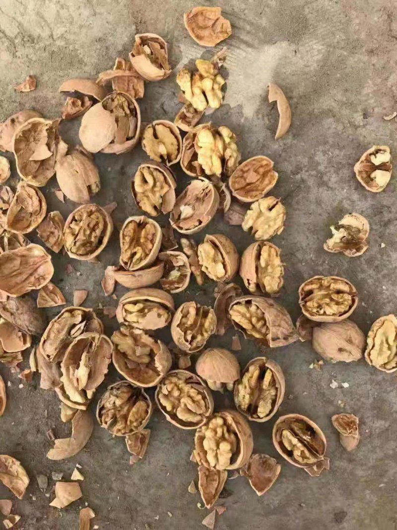礼品核桃产地直供一手货源批发品质保证价格美丽欢迎合作