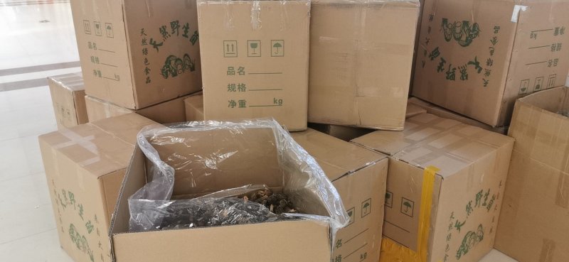高品质羊肚菌。无烂发霉精选。肉厚味香头茬货