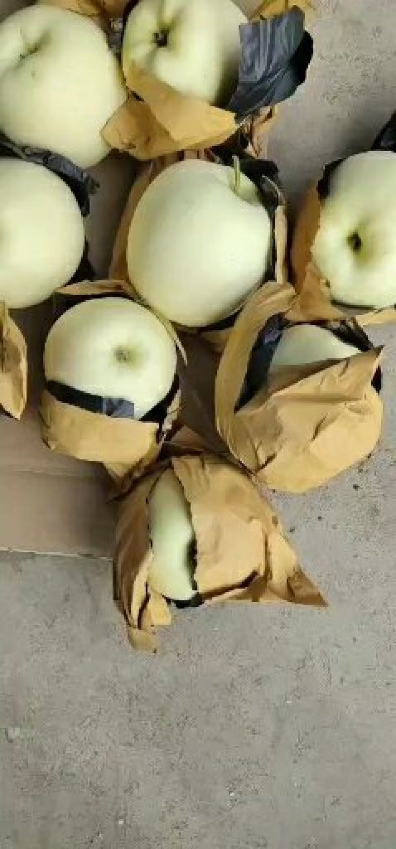 黄元帅苹果大量出库中，量大从优物美价廉