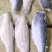 巴沙鱼柳质量好，价格低欢迎订购