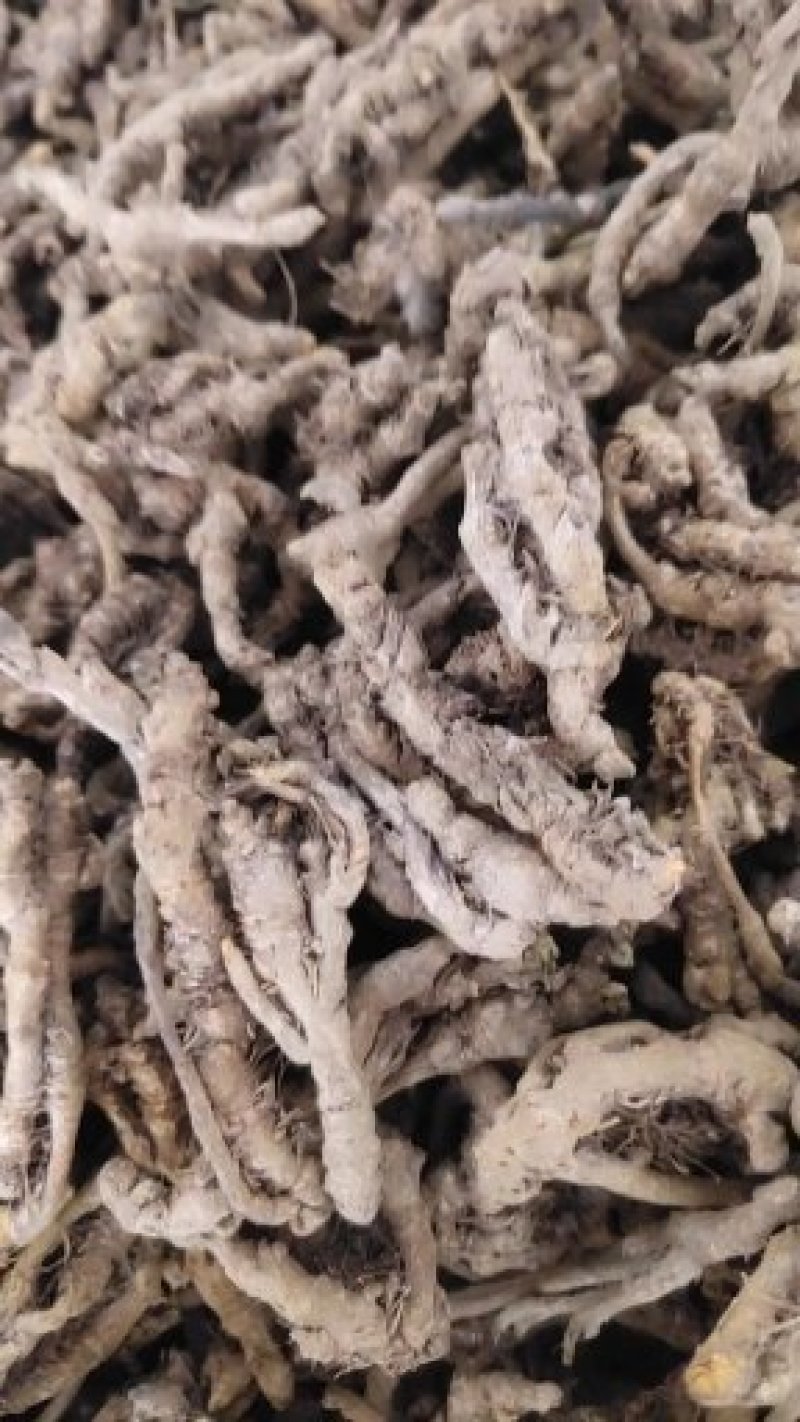 黄连统货鸡爪黄连关书药业批发中药材