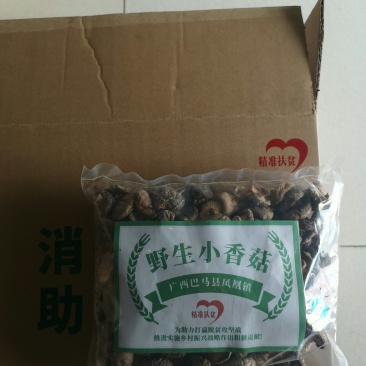 长寿之乡--广西巴马农家小香菇