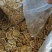 柠檬干片一斤也包邮货量不多抓紧选购品质保障