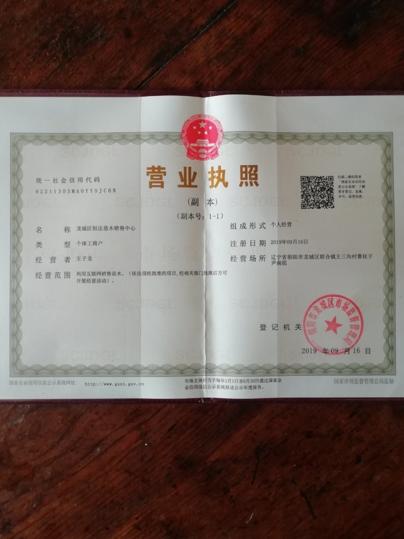 射干种子2019年新种子