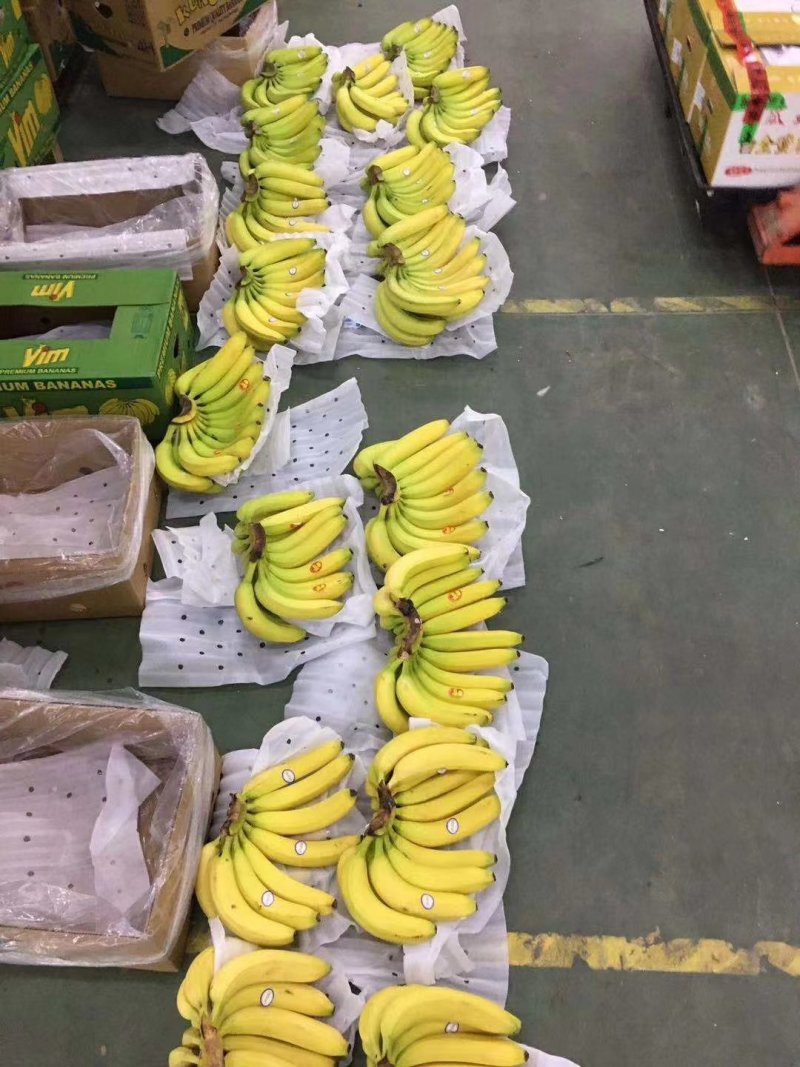 进口蕉菲律宾，国产蕉，广西，越南老挝