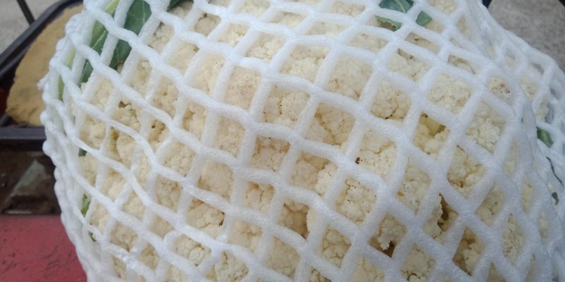 滑县蔬菜大棚万亩种植园区