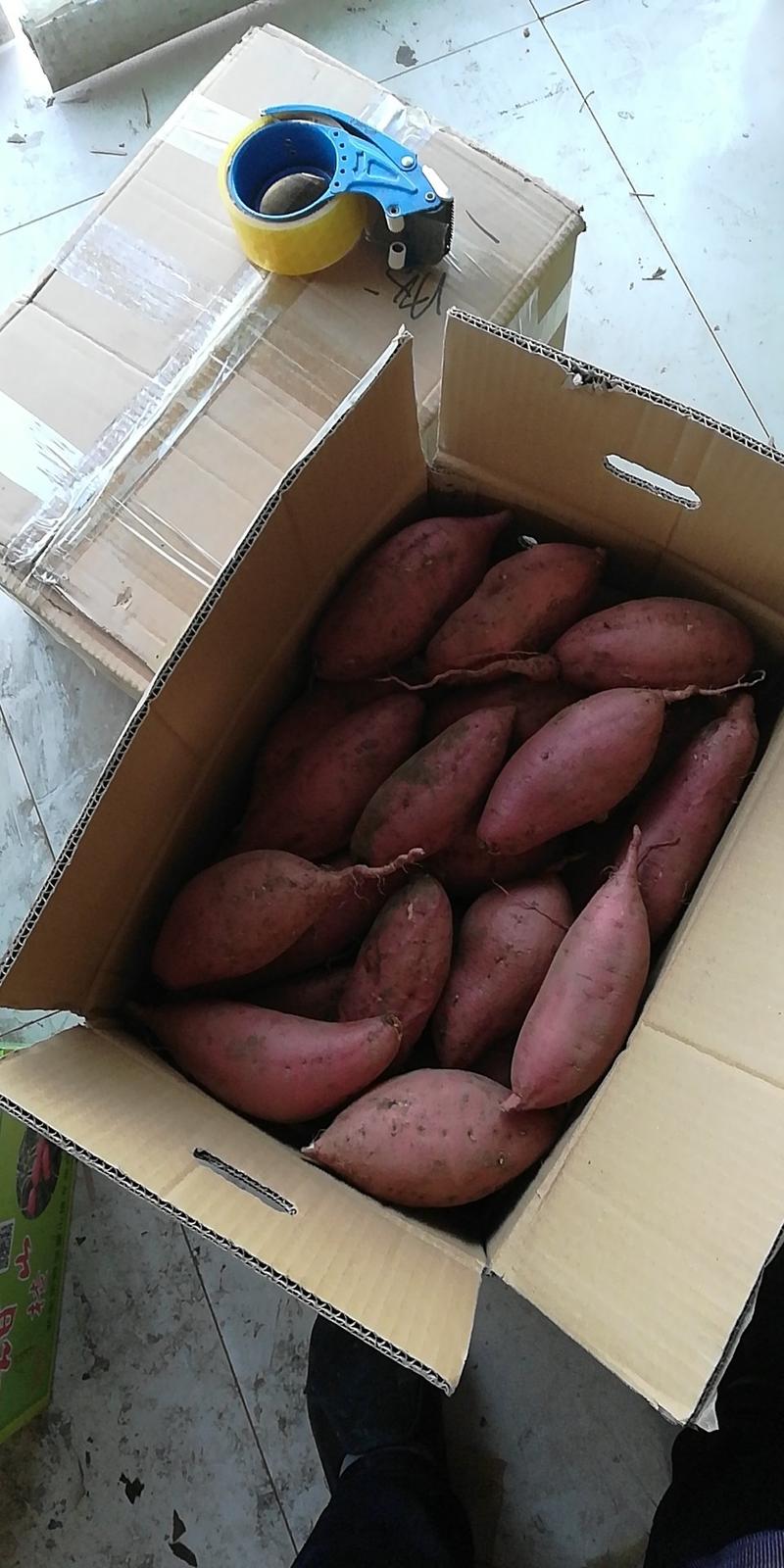 烟薯25基地批发储存代办红皮红心沙地蜜薯烤薯电商