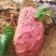 烟薯25基地批发储存代办红皮红心沙地蜜薯烤薯电商