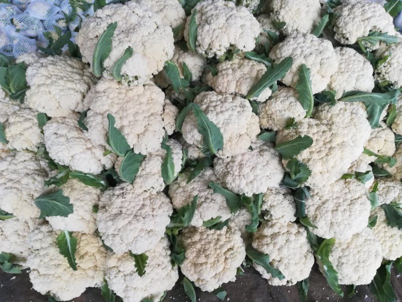菜花花菜散花白面青梗市场货电商货多多买菜美团