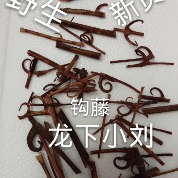 钩藤双钩藤野生侧枝条钩一起