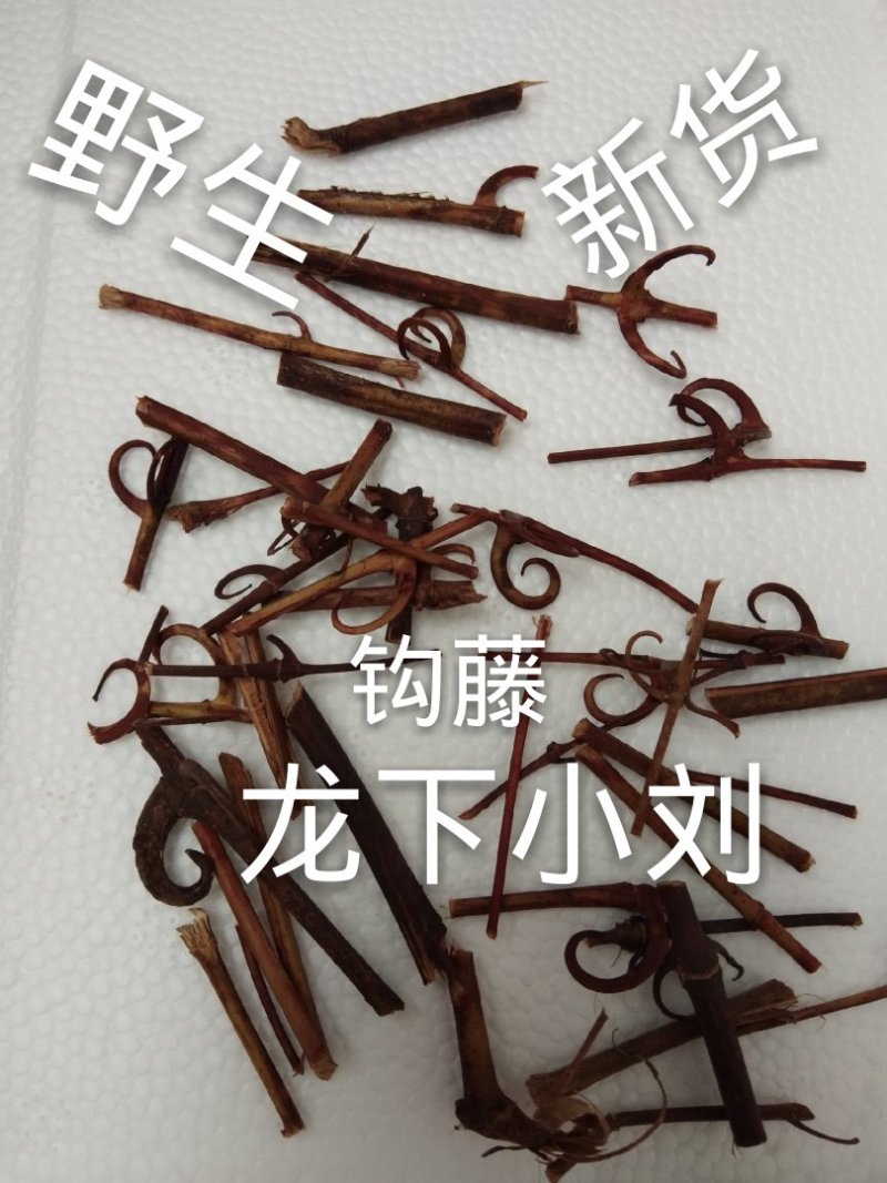 钩藤双钩藤野生侧枝条钩一起